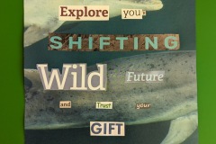 Shifting Wild Future