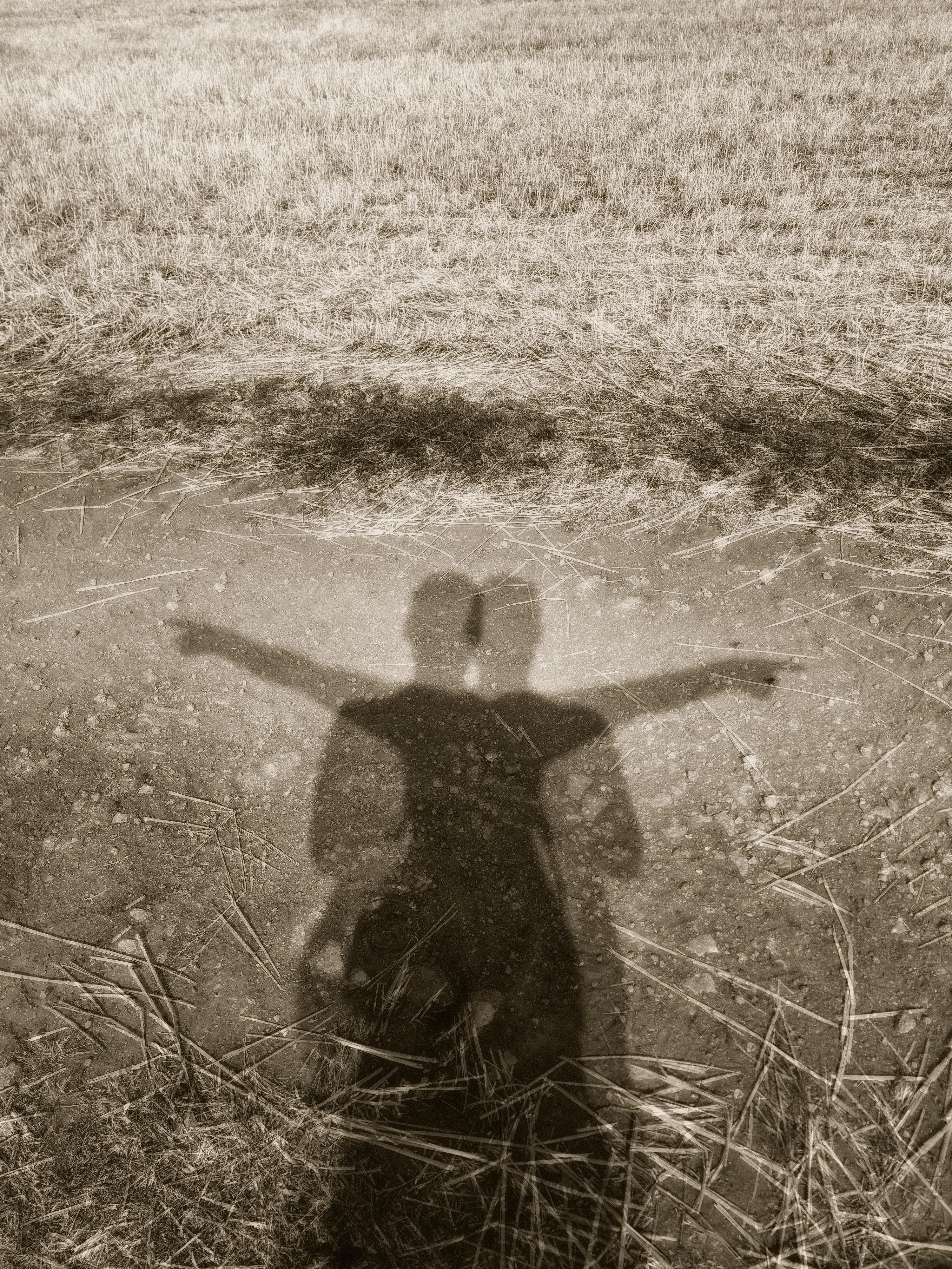 Witch Way To The Crossroads?