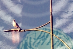 Embodiment, Unexpectedly