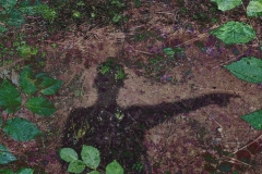 I Am Not Your Shadow