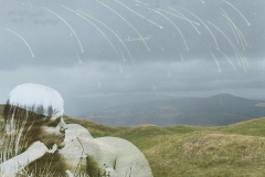 In Dreams Of Seeking I Find Only Myself