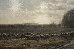 If You Dare To Cross The Line, Then Who Knows What You May Find?