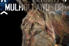 A Mulholland Night's Dream