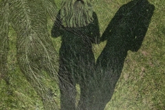 Assimilation/Dissipation