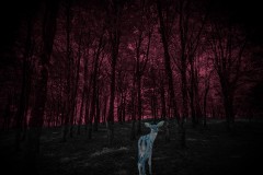 Will You Wait For Me On The Other Side Of Darkness?