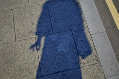 Shadow Self