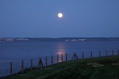 Moon #2