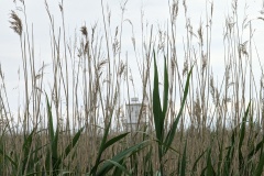 Newport RSPB Wetlands lighthouse