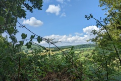 Wye Valley #1