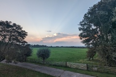 View from the Fish House