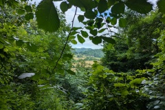 Wye Valley #2