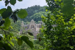 Tintern Abbey
