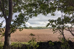 Lincolnshire field #2