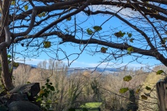 View from Abergavenny #1