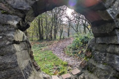 Allt-yr-yn nature reserve