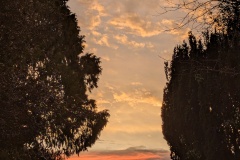 St Woolos Cemetery #1