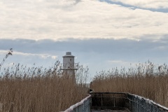 Newport RSPB Wetlands lighthouse #2