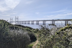 Prince of Wales Bridge