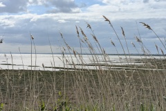 Newport RSPB Wetlands