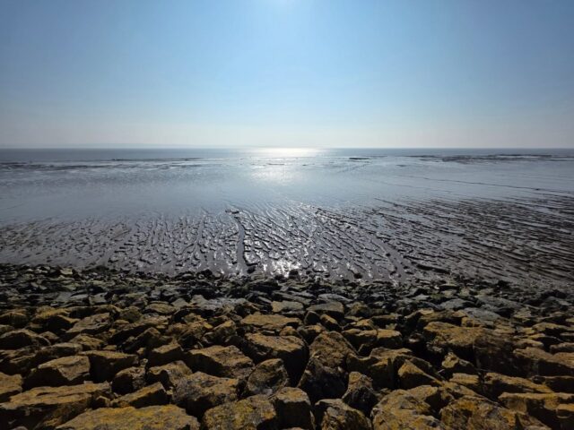 Wednesday walk along the seawall. It's been a while...

Much communing with the spirits of place. A revisiting of the past, with an unexpected recognition that farewells now need to be said (interestingly, today's Tarot card was the Six of Cups). Some places come into your life for a purpose, but are really just a shadow of the real place beckoning you. I walked the final return stretch swiftly, without looking back.

Times are a-changin'...
.
.
.
.
.
#walking #walkingwales #seawall #walescoastpath #severnestuary