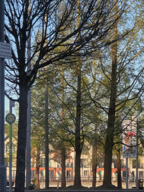 Easter Monday, Newport. Digital photograph, 2026.
.
.
.
.
.
#digitalphotography #streetphotography #digitalphotographer #photographersofinstagram #newportsouthwales