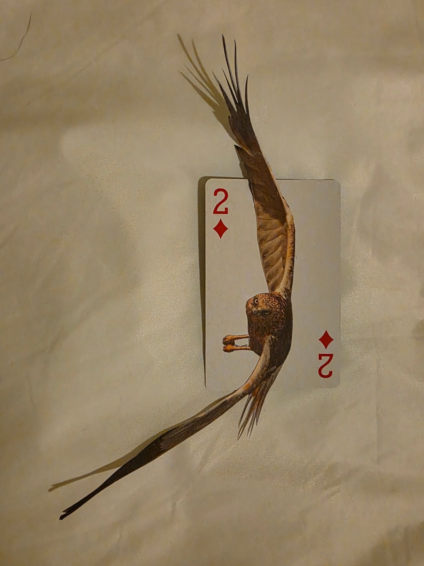 Don't Fence Me In.

Playing card mini collage, 23/2: Two of Diamonds.
.
.
.
.
.
#playingcardcollage #minicollage #collageart #collageartist #analoguecollage