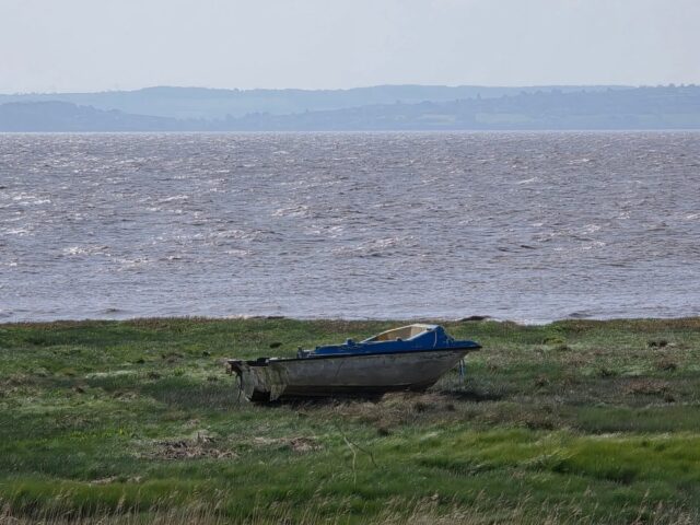 A Wednesday wander with perfect weather for Earth Day. Took the train out to Severn Tunnel Junction, then walked my familiar stretch of seawall down to Goldcliff, where I happily coincided with high tide for the first time in ages. Ate my sandwiches sitting on the wall in the sun.

Today, instead of walking back the way I came as I usually do, I continued on, following the @walescoastpath as it heads inland to protect this coastal region & its wildlife. A quick detour into a hide overlooking Goldcliff lagoons brought back emotional memories of my year spent living out here, as did a swift pint outdoors at the Farmer's Arms. Then it was across the fields and eventually back out to the coast on approaching @rspbnewportwetlands . 

Electric bus back to the city centre completed a beautiful day of celebration for this glorious world of ours. Let us not forget how lucky we are! 💚
.
.
.
.
.
#walking #walkingwales #earthday2026 #seawall #wetlands